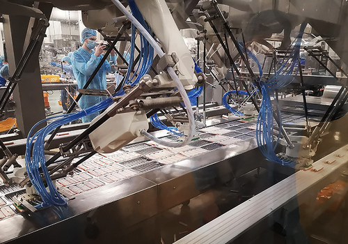 Robotic Food Handling Pick and Place