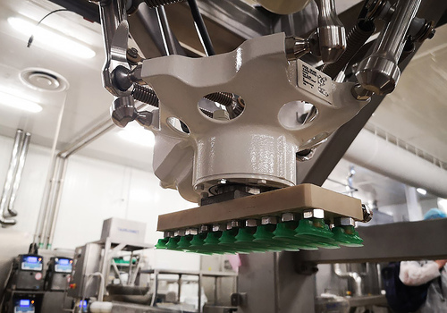 Robotic Food Handling Pick and Place