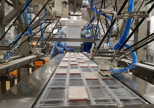 Robotic Food Handling Pick and Place