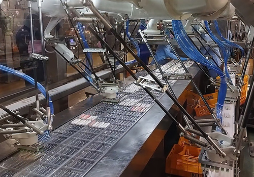High Speed Delta Robots
