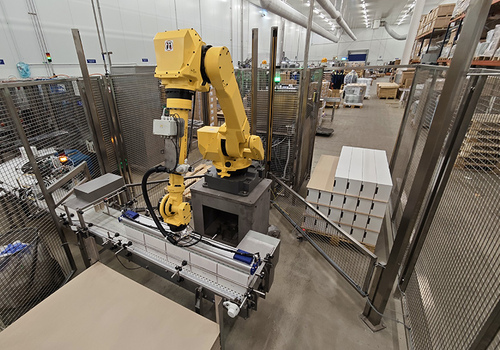Robotic Unloading and Palletizing